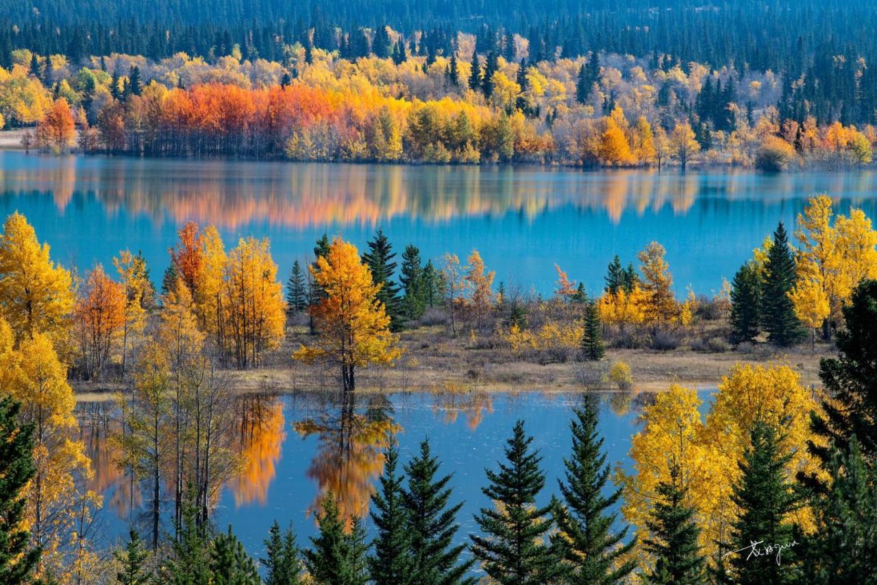 Sunny Tranquil Woods Turret In Falcon Crest Lodge Canmore Exteriör bild